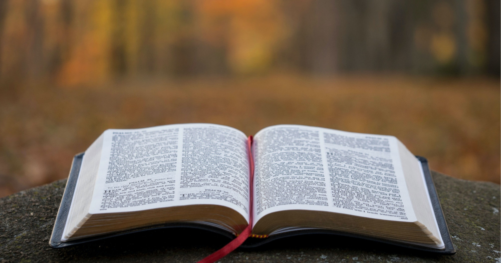 background background