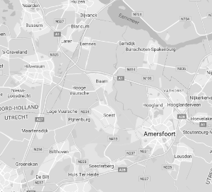 googlemaps.png